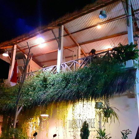 The Bodhi Tree Karimunjawa Hostel Luaran gambar
