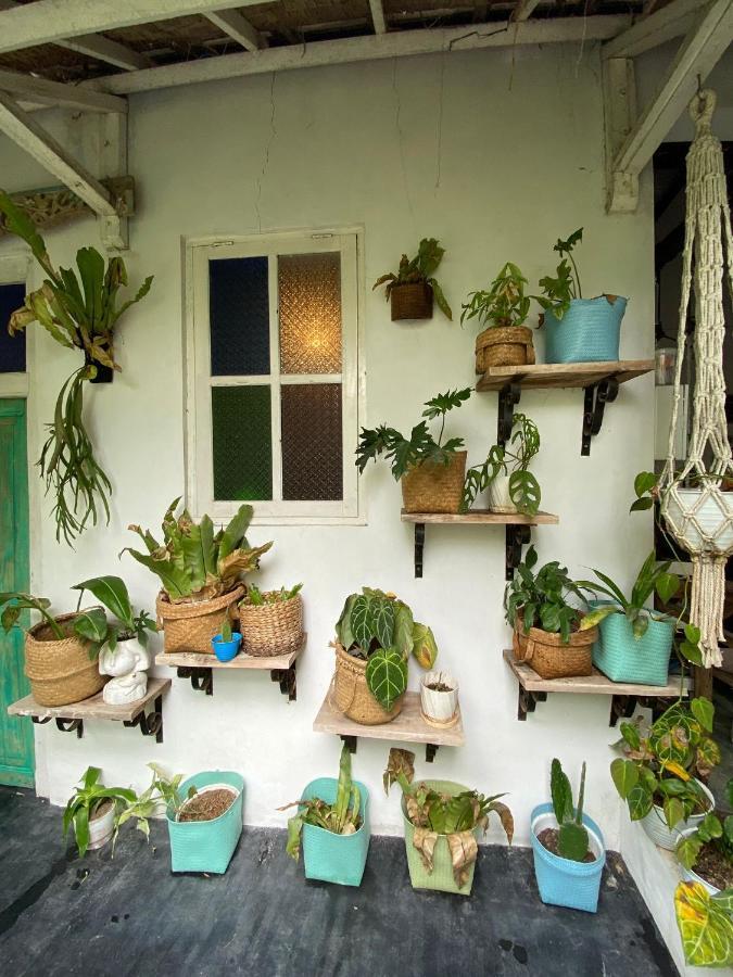 The Bodhi Tree Karimunjawa Hostel Luaran gambar