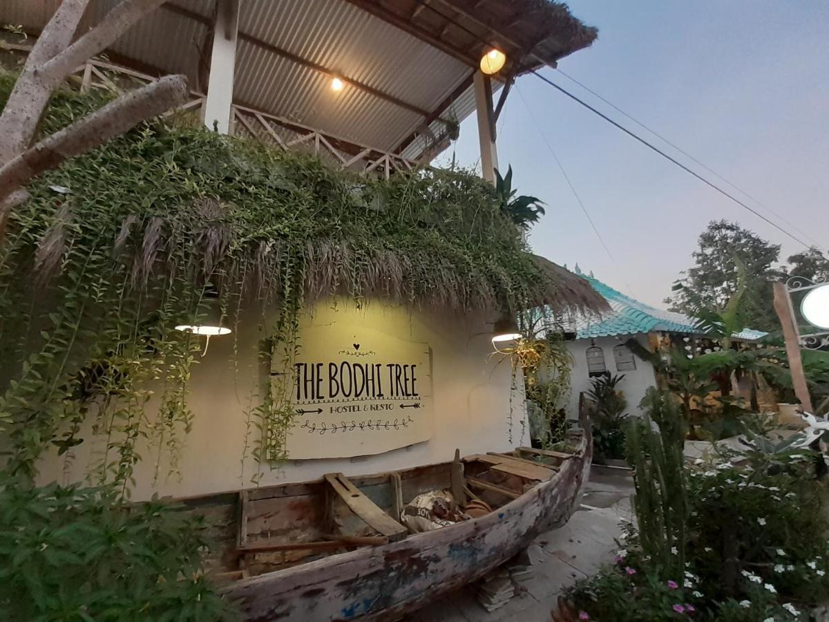 The Bodhi Tree Karimunjawa Hostel Luaran gambar